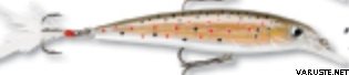 Rapala X-Rap 8cm XR-8 Brown Trout