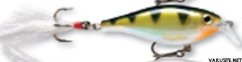 Rapala X-Rap Shad Shallow 6cm XRSH-6 Yellow Perch