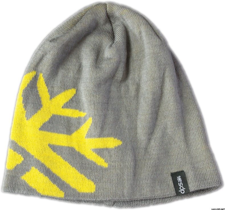 DPS Rodman Beanie Montauk Grey