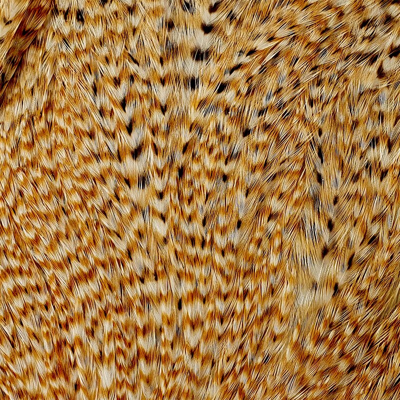 Metz #2 Magnum Rooster Neck Barred Ginger