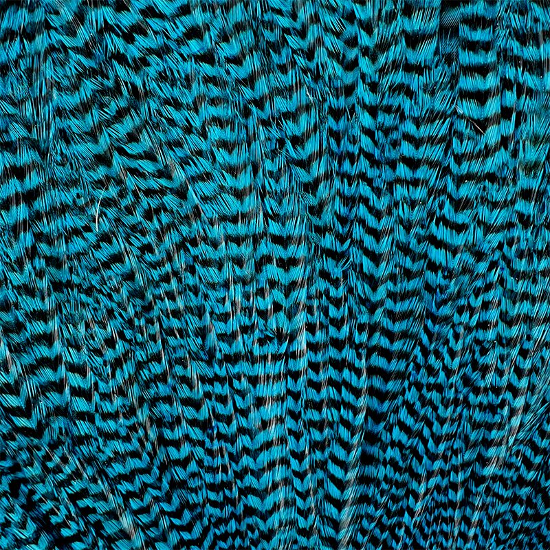 Metz #2 Magnum Rooster Neck Grizzly Blue