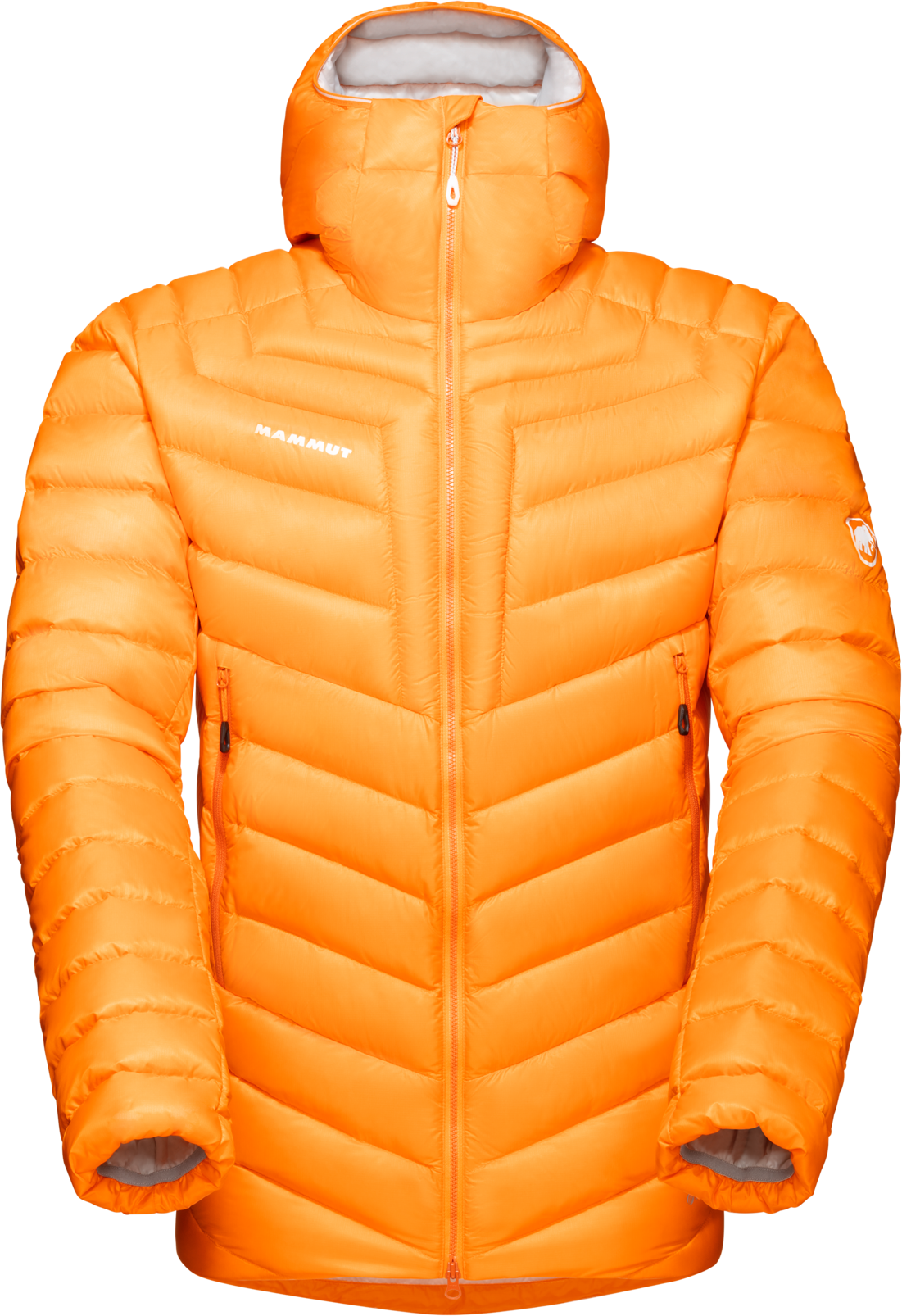 down jacket men hooded