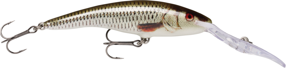 Rapala Deep Tail Dancer 9cm TDD-9 Live Roach (ROL)
