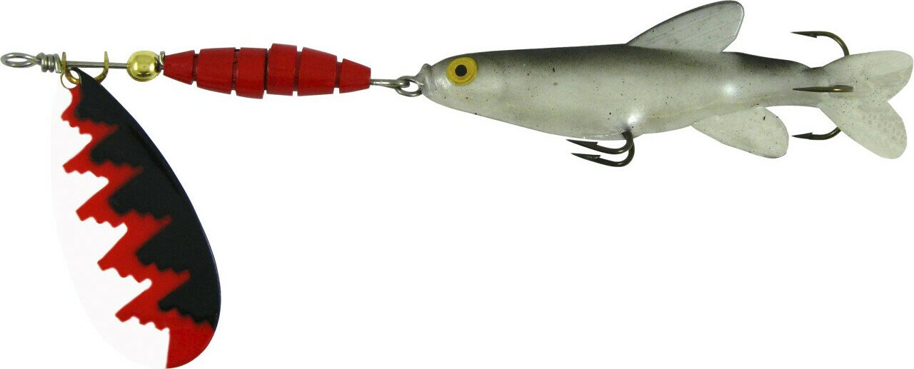 Calico Cat Kalalla PVK