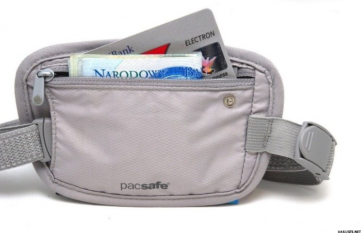 Pacsafe Coversafe 25 Neutral Grey