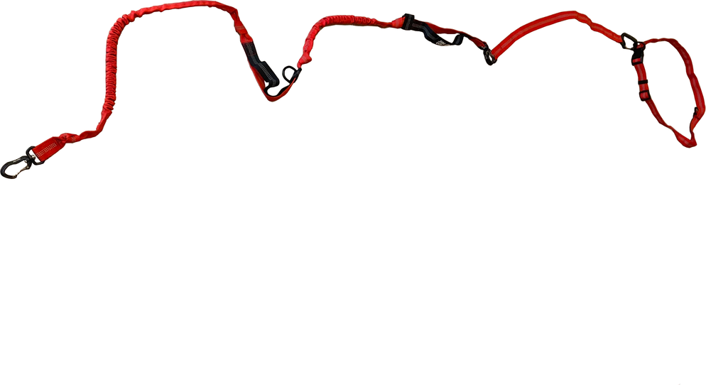 Fido Pro Remi Runner Leash Red