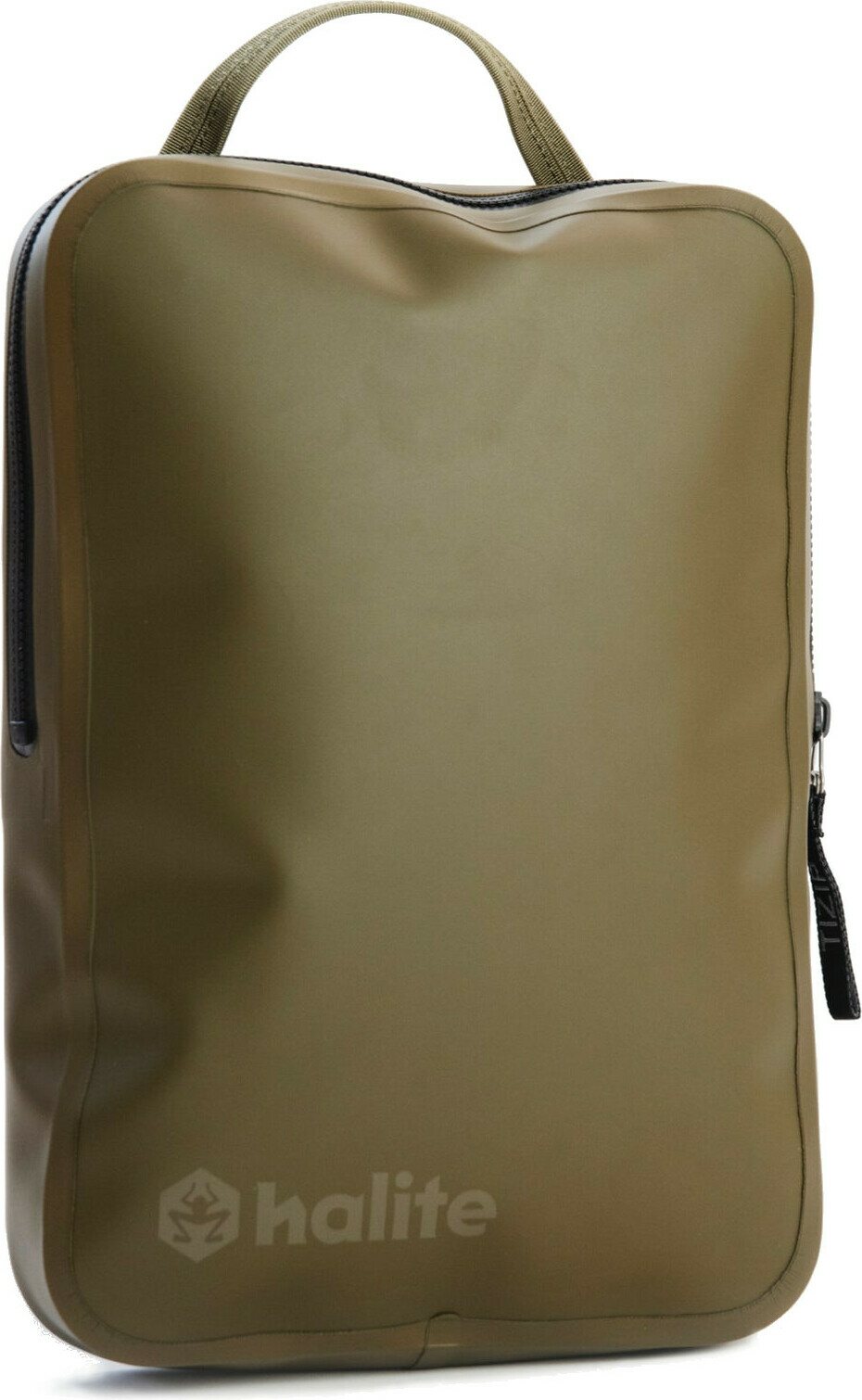 Halite Carapace Crocodile