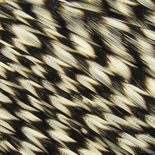 Whiting Kukon Satulahöyhen setti Grizzly