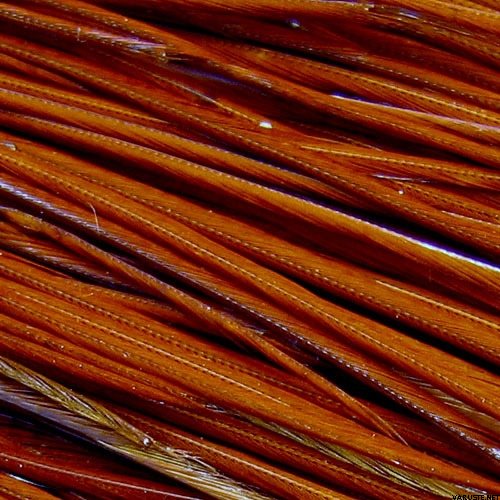 Whiting Kukon Satulahöyhen setti Ruskea