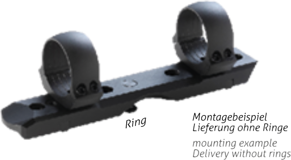 Dentler Mounting Rail BASIS, Rengaskiinnitteinen Ring