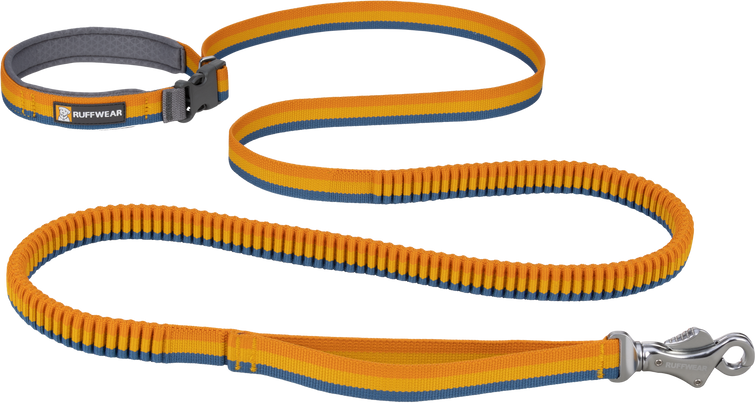 Ruffwear Roamer Leash Yellow Snow