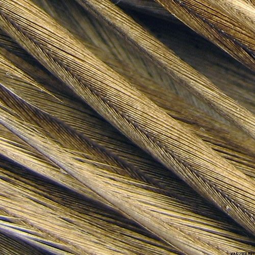 Whiting Kukonniska 1/2 Bronze Medium Dun