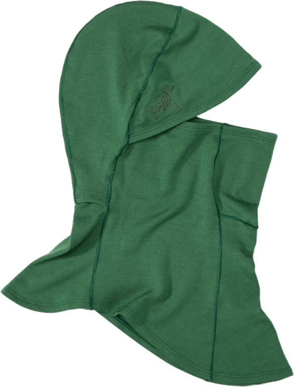 Arc'teryx Rho Lightweight Wool Balaclava Eden