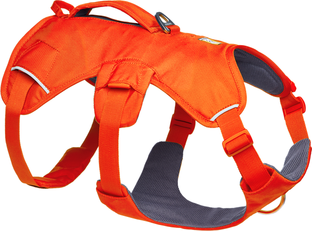 Ruffwear Web Master Harness (new design) Blaze Orange