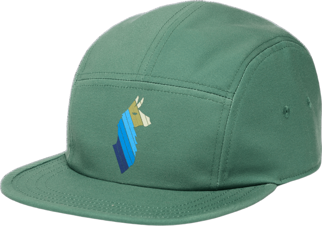 Cotopaxi Llama Stripes 5 Panel Hat Vine