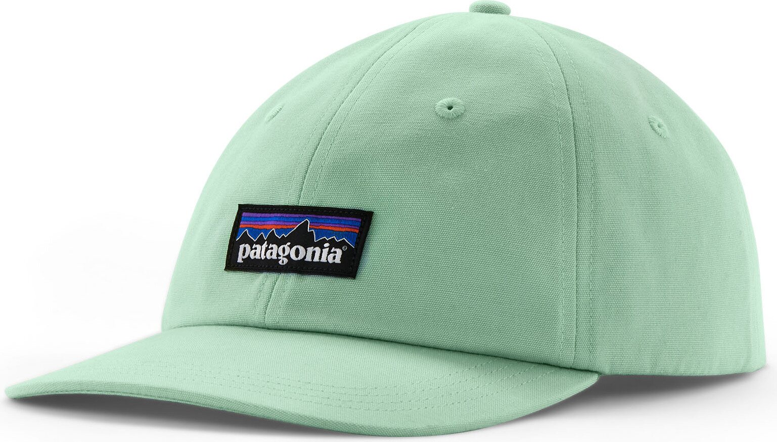 Patagonia P-6 Label Trad Cap Rinsed Green