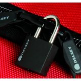 Delsey Key padlock