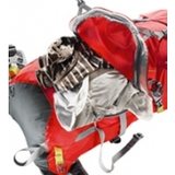 Deuter Spectro AC 36