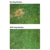 Dog Rocks -