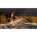 BIC 11'0" Classic SUP Wood