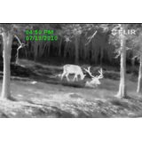 Flir Scout TS24, 240x180
