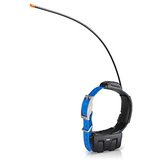 Garmin DC 50 collar