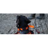 Garmin DC 50 collar