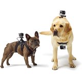 GoPro Fetch (Dog Harness)