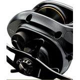 Daiwa Lexa 300