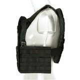 Blue Force Gear LIGHTWEIGHT MODULAR ARMOR CARRIER™ / LMAC™