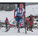 Non-stop Dogwear Skijoring Package (inc. belt, harness and leash)