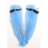 Silvergrey Turkey Royal Tip Tail Feathers