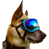 Rex Specs Dog Goggle - Coyote Tan