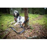 Non-stop Dogwear Touring Bungee Adjustable