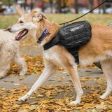 Kurgo RSG Dog County Harness + Pack Pannier