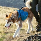 Kurgo RSG Dog County Harness + Pack Pannier