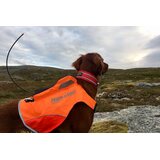 Non-stop Dogwear Protector Vest GPS