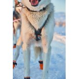 Non-stop Dogwear Nansen Nome 5.0