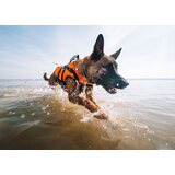 Non-stop Dogwear Safe life jacket 2.0