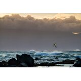 Pyry ja Pärske Wing Surf -siipilautailukurssi