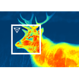 Pulsar Thermion 2 XP50 Thermal Imaging Riflescopes