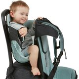 Thule Sapling Child Carrier