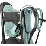 Thule Sapling Child Carrier