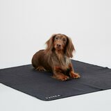 Paikka Recovery Blanket for Pets