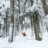 Arc'teryx Procline Jacket Mens