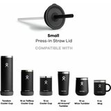 Hydro Flask Small Press-In Straw Lid Black