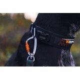 Non-stop Dogwear Rock Adjustable Collar
