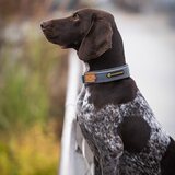 Seleverkstedet Unify Dog Collar