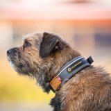 Seleverkstedet Unify Dog Collar