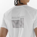 Salomon Cross Run Short Sleeve Tee GFX Mens